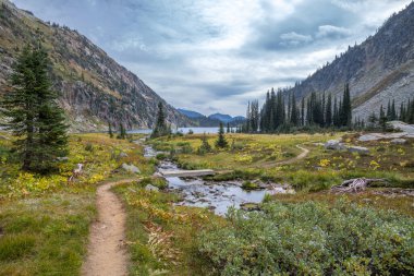 Yürüyüşçülerin Kokanee Gölü 'ne akan küçük dereyi geçmelerine yardımcı olacak küçük bir köprü. Kokanee Buzul İl Parkı, BC, Kanada