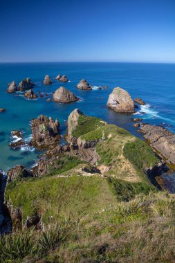 Yeni Zelanda 'nın Güney Adası' ndaki Catlins Sahili 'ndeki Nugget Point Deniz Feneri' nden güneydoğuya bakıyor.