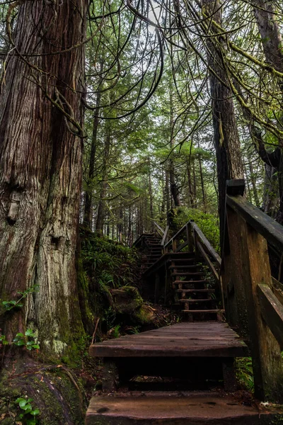 Der Weg Zur Schooner Cove Der Nähe Von Tofino Führt — Stockfoto