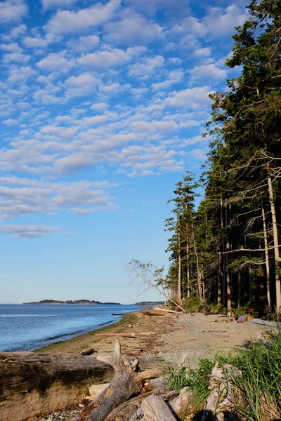 Rathtrevor Provincial Park Campground Vancouver Island — 스톡 사진