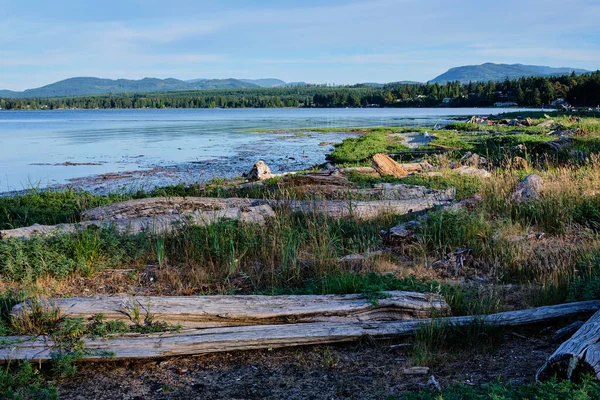 Upptagen Med Familjer När Tidvattnet Ute Rathtrevor Stranden Vancouver Island — Stockfoto