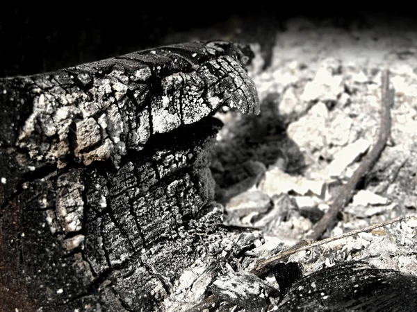 木製の灰 — ストック写真