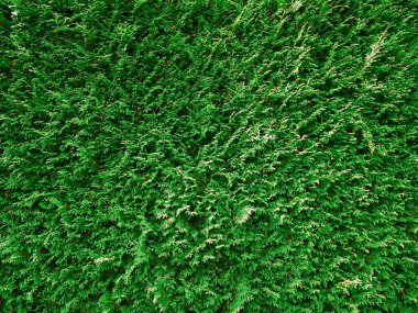 Kopya alanı olan bir çitin arkaplan resmi