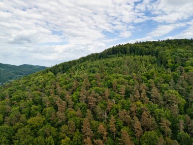 Yuvarlanan tepeler, yeşil tarlalar ve bulutlu gökyüzü manzaralı..
