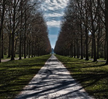 Ağaçları yaprakları olmayan bir parkta.