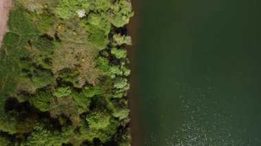Sakin bir gölün çevresindeki yemyeşil bir ormanın havadan görünüşü.