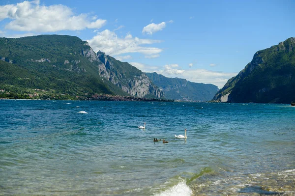 Сім Лебедів Які Плавають Озері Горах Блакитному Небі Фоні — стокове фото