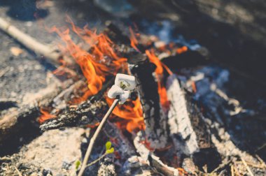 Çubukta tatlı marşmelov. Yaz ormanında akşamları kazıkta kızartılıyor. Tatil ve seyahat.