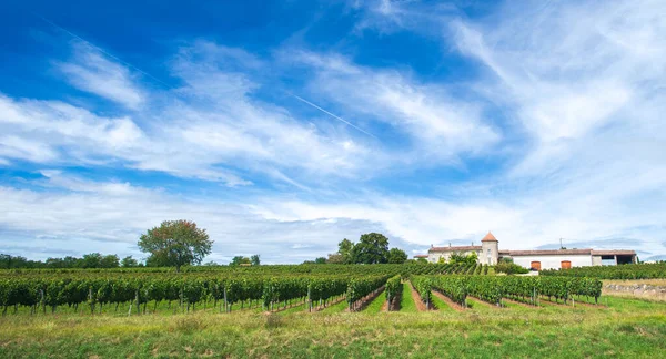 Bordeaux winery located in countryside with wines growing and roduction site