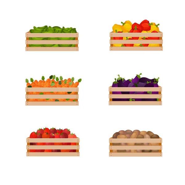 Zestaw pudełek ze świeżymi warzywami, takich jak papryka marchew ogórki pomidory bakłażany i ziemniaki. Ilustracja wektora izolowana na białym tle. — Wektor stockowy