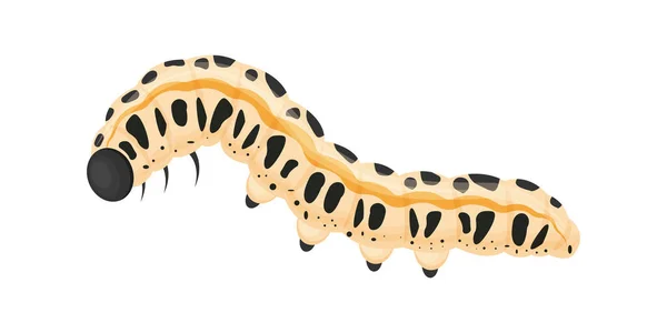 Eine helle Raupe von schwarzer und beiger Farbe. Das Insekt ist ein landwirtschaftlicher Schädling. Vektor-Illustration isoliert auf weißem Hintergrund — Stockvektor