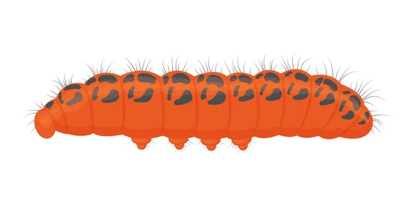 Die helle Raupe hat eine leuchtend orange Farbe. Das Insekt ist ein landwirtschaftlicher Schädling. Vektor-Illustration isoliert auf weißem Hintergrund — Stockvektor