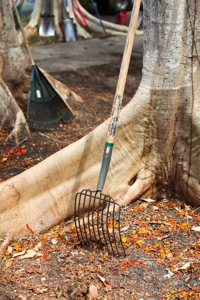 Rake e pale utilizzate per la paesaggistica — Foto Stock