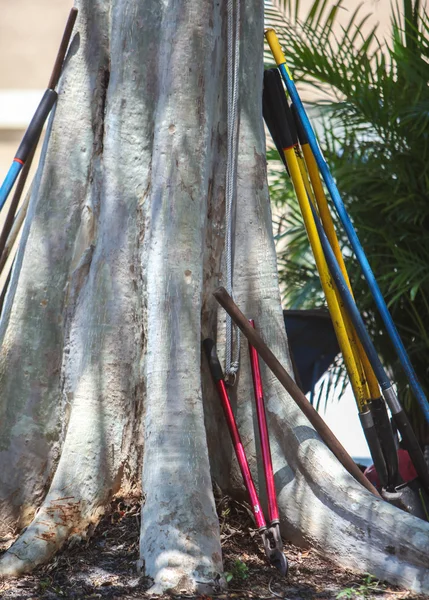 Lopper y otras herramientas de jardinería inclinándose contra un árbol —  Fotos de Stock