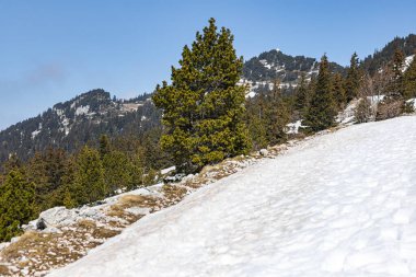 Moucherotte 'nin zirvesi ve radar anteni Vercors' taki Pic Saint-Michel 'den (Isere, Fransa)
