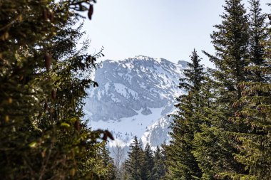 Vercors 'taki Grande Moucherolle Dağı' nın manzarası.