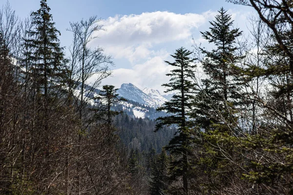 Άποψη Του Βουνού Της Μεγάλης Moucherolle Στον Ορεινό Όγκο Vercors — Φωτογραφία Αρχείου