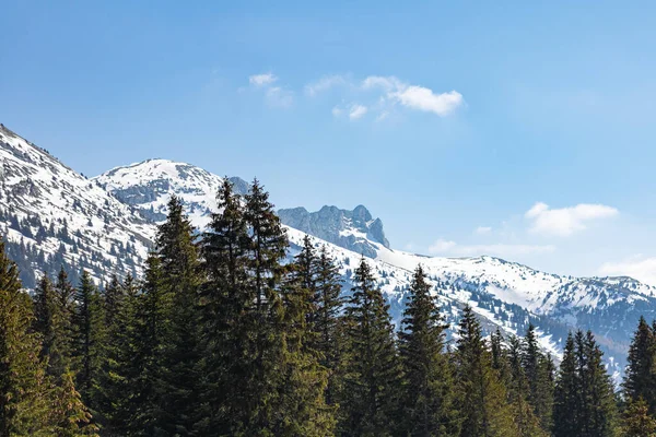 Vercors 'taki Grande Moucherolle Dağı' nın manzarası (Isere, Fransa)