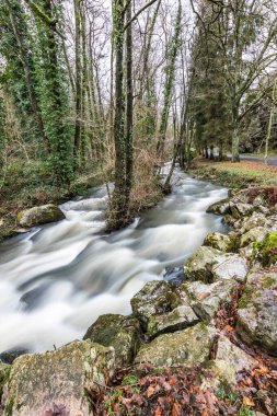 La Fosse Arthour 'un kalbinde nehir (Normandiya, Fransa)