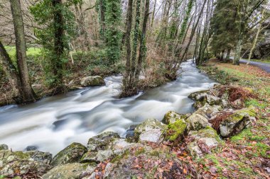 La Fosse Arthour 'un kalbinde nehir (Normandiya, Fransa)