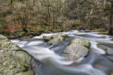 La Fosse Arthour 'un kalbinde nehir (Normandiya, Fransa)