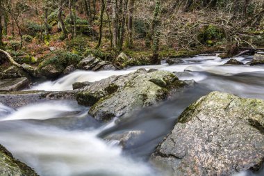 La Fosse Arthour 'un kalbinde nehir (Normandiya, Fransa)