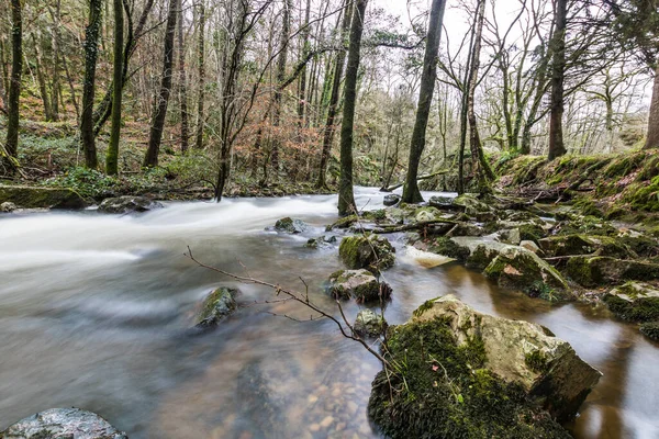 Rivier Het Hart Van Fosse Arthour Normandië Frankrijk — Stockfoto