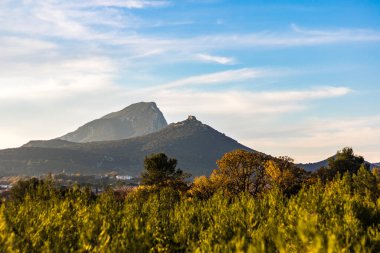 Çalılıkların arasından Pic Saint-Loup 'un manzarası (Occitanie, Fransa)