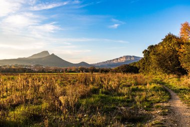 Pic Saint-Loup ve Hortus dağlarının çalılıkların arasından görünüşü (Occitanie, Fransa)
