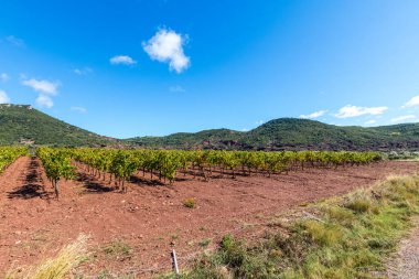 Saint-Saturnin-de-Lucian (Occitanie, Fransa)