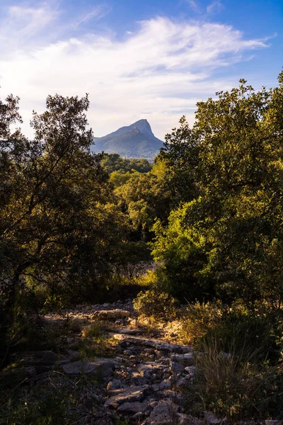 Vista Del Pic Saint Loup Través Vegetación Desde Matorral Occitanie — Foto de Stock