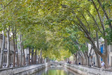 Nimes 'teki ağaçların altında Kanal de la fontaine (Occitanie, Fransa)