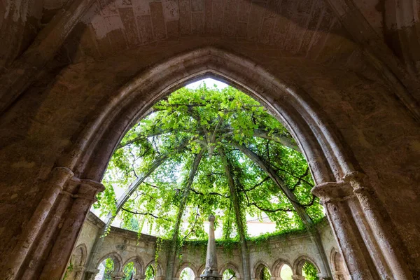 Фонтан Покрытый Куполом Виноградной Лозой Монастыря Валмани Окситания Франция — стоковое фото