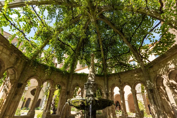Valmagne Manastırı 'nın manastırından bir kubbe ve sarmaşıkla kaplanmış bir çeşme (Occitanie, Fransa)