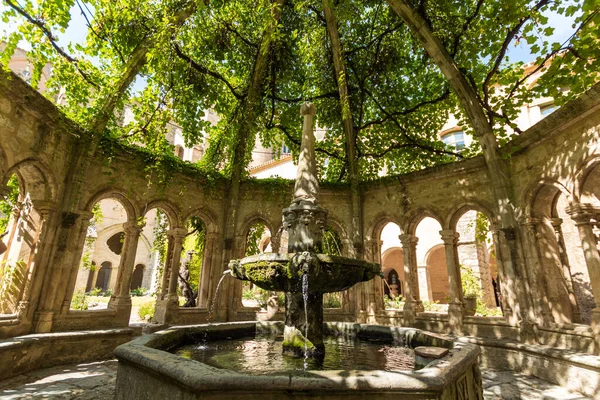 Valmagne Manastırı 'nın manastırından bir kubbe ve sarmaşıkla kaplanmış bir çeşme (Occitanie, Fransa)