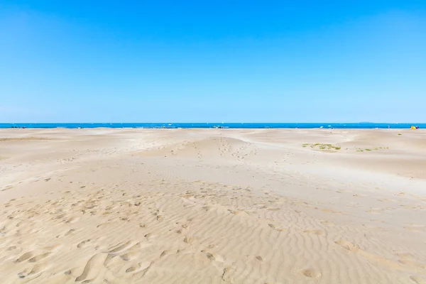 Akdeniz kıyısındaki Pointe de l 'Espiguette' de kum tepesi manzarası (Occitanie, Fransa)