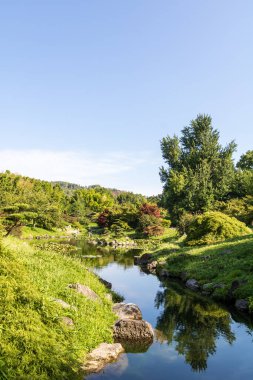 'Dragon Valley' manzarası, Anduze Bambu Korusu 'nda Cevennes' in kalbinde Asya bahçesi (Occitanie, Fransa)