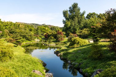 'Dragon Valley' manzarası, Anduze Bambu Korusu 'nda Cevennes' in kalbinde Asya bahçesi (Occitanie, Fransa)