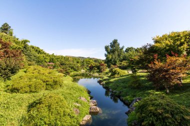 'Dragon Valley' manzarası, Anduze Bambu Korusu 'nda Cevennes' in kalbinde Asya bahçesi (Occitanie, Fransa)