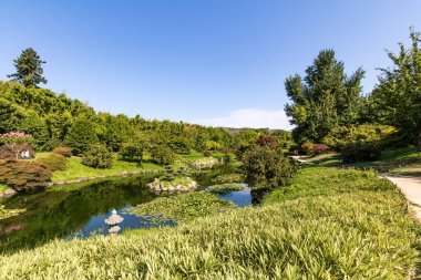 'Dragon Valley' manzarası, Anduze Bambu Korusu 'nda Cevennes' in kalbinde Asya bahçesi (Occitanie, Fransa)