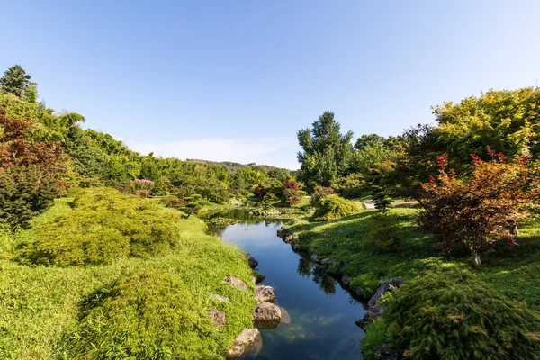 'Dragon Valley' manzarası, Anduze Bambu Korusu 'nda Cevennes' in kalbinde Asya bahçesi (Occitanie, Fransa)