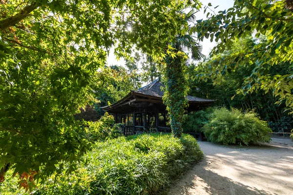 Japanese Pavilion Valley Dragon Asian Garden Heart Cevennes Anduze Bamboo — Stock Photo, Image