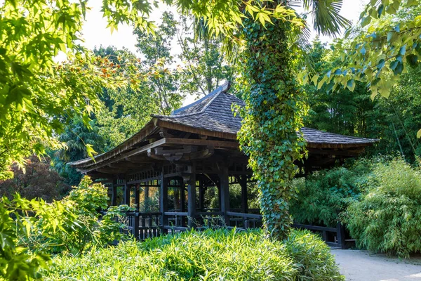 Japanese Pavilion Valley Dragon Asian Garden Heart Cevennes Anduze Bamboo — Stock Photo, Image