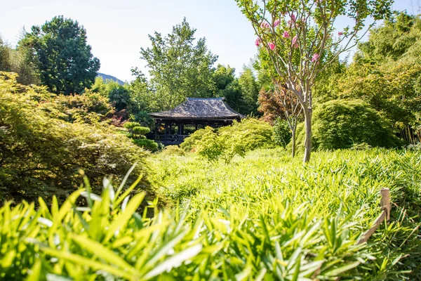 Japanese Pavilion Valley Dragon Asian Garden Heart Cevennes Anduze Bamboo — Stock Photo, Image