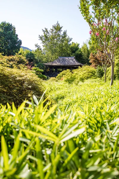 Japans Paviljoen Van Vallei Van Draak Aziatische Tuin Het Hart — Stockfoto