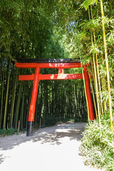 Japanse Torii Midden Een Bamboebos Het Hart Van Cevennen Het — Stockfoto