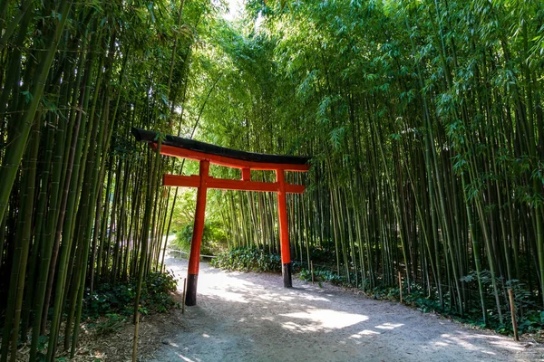 Японські Торі Посеред Бамбукового Лісу Центрі Цевенн Бамбуковому Гаї Андуз — стокове фото