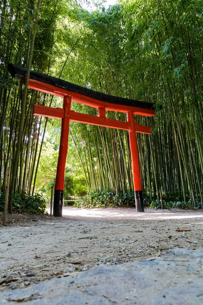 Torii Japonais Milieu Une Forêt Bambous Cœur Des Cévennes Dans — Photo