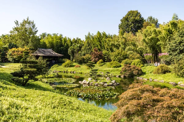 Японський Павільйон Долини Дракона Азійський Сад Центрі Севенн Андуз Бамбуковий — стокове фото