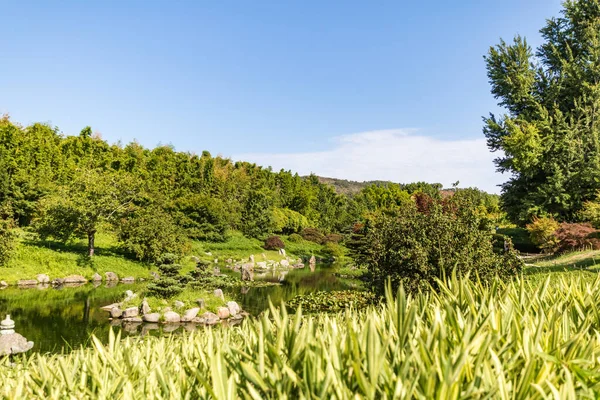 Landscape Dragon Valley Asian Garden Heart Cevennes Anduze Bamboo Grove — Stock Photo, Image